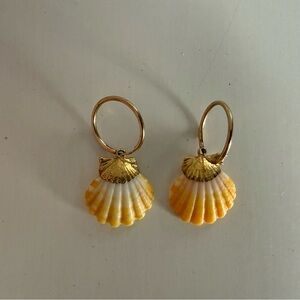 Gold Hawaiian sunrise shell pair earrings